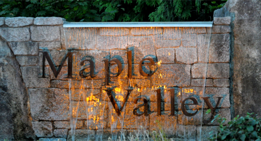 We Buy Maple Valley