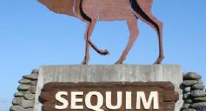 We Buy Sequim
