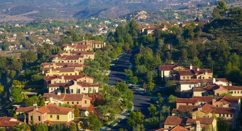 We Buy Thousand Palms