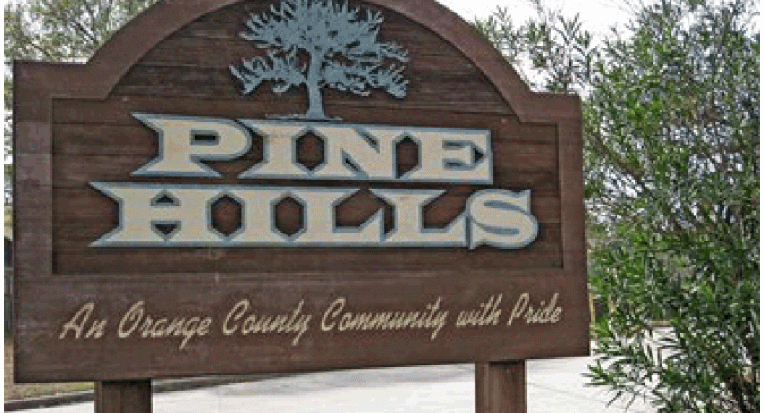 We Buy Pine Hills