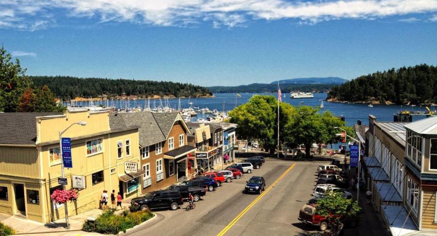 We Buy Friday Harbor