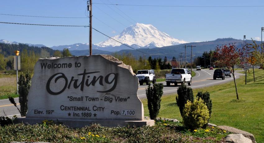 We Buy Orting