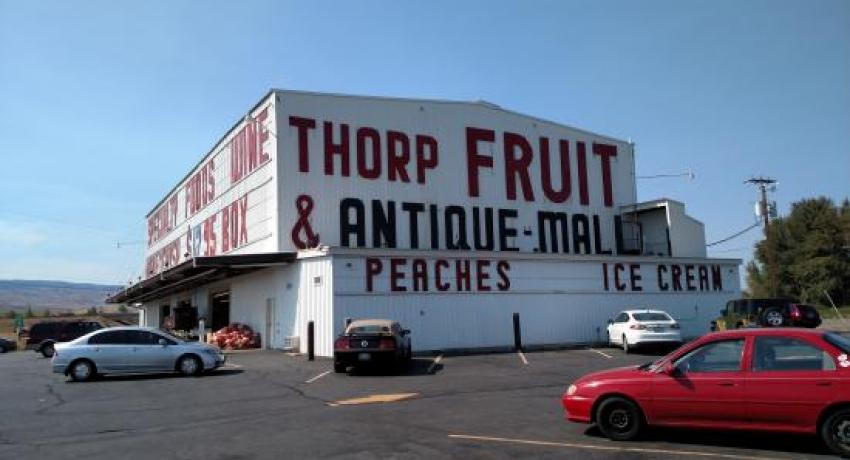 We Buy Thorp