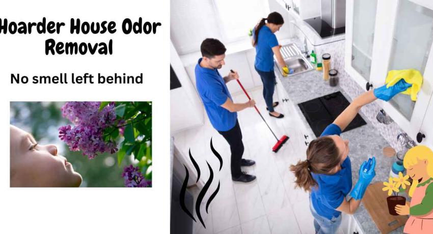 Deodorizing a Hoarder House