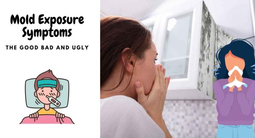 mold exposure symptoms