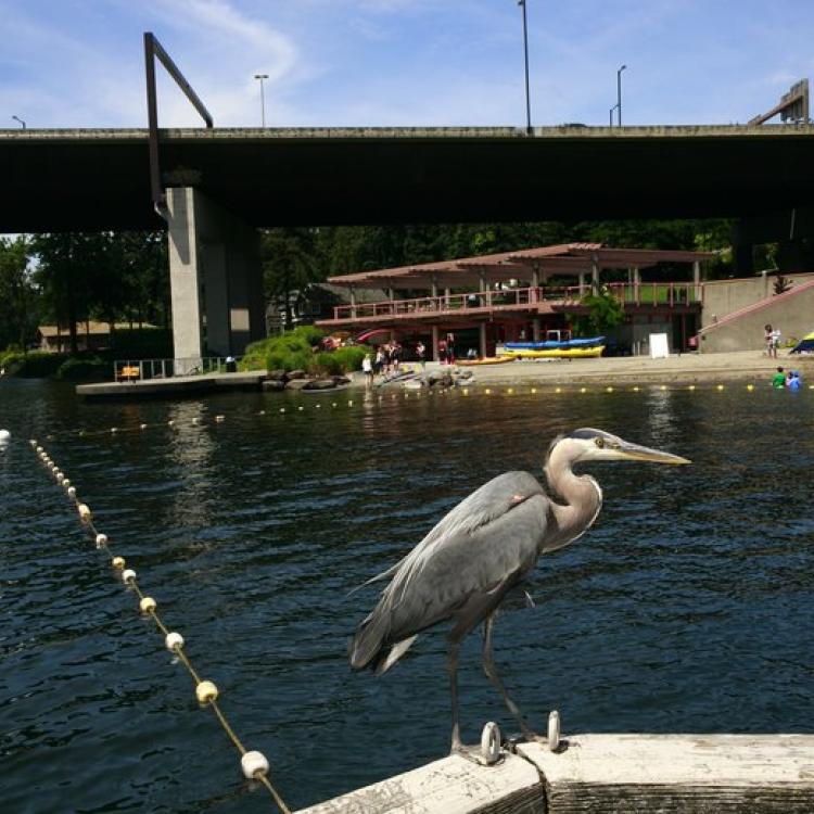 We Buy Beaux Arts Village