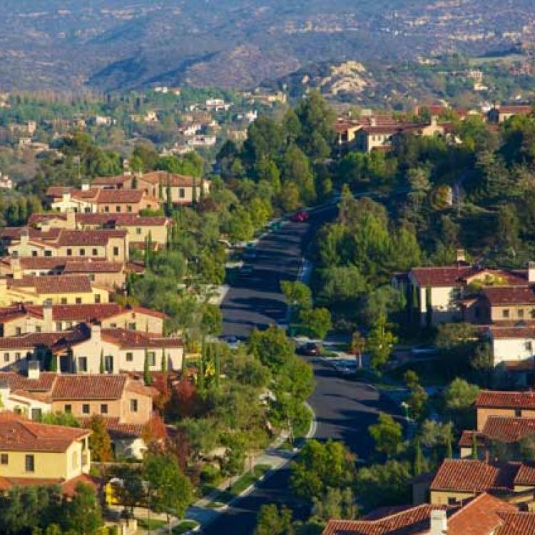 We Buy Thousand Palms