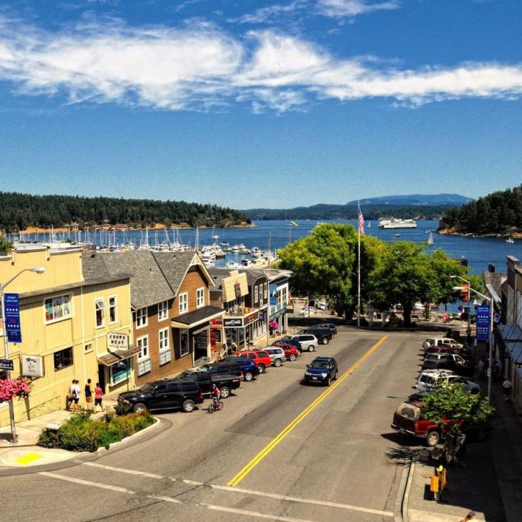 We Buy Friday Harbor
