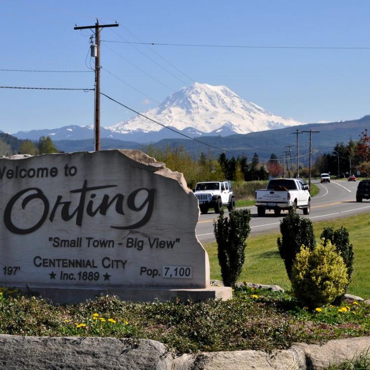 We Buy Orting